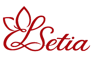 株式会社エルセチア